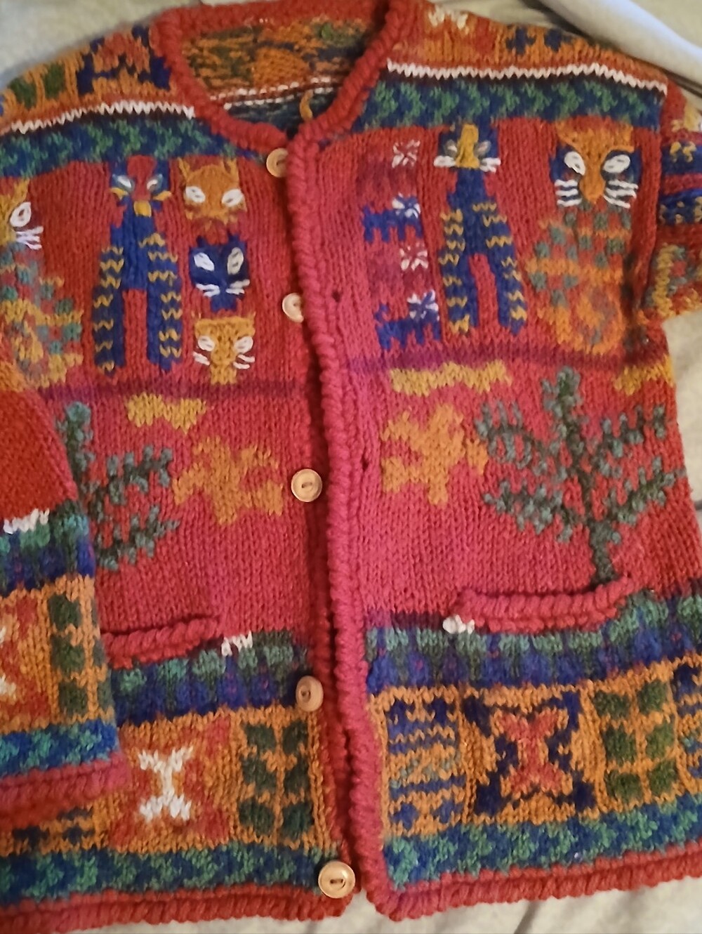 Express Tricot Wool Sweater
